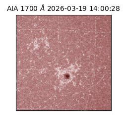 saia - 2026-03-19T14:00:28.446000