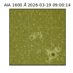 saia - 2026-03-19T09:00:14.124000