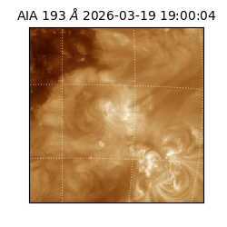 saia - 2026-03-19T19:00:04.842000