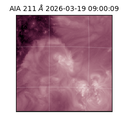 saia - 2026-03-19T09:00:09.630000