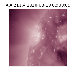 saia - 2026-03-19T03:00:09.632000