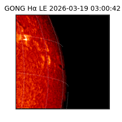 gong - 2026-03-19T03:00:42