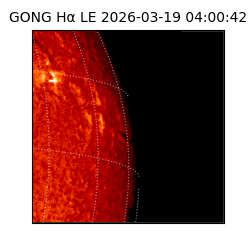 gong - 2026-03-19T04:00:42