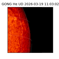 gong - 2026-03-19T11:03:02