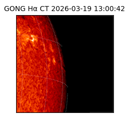 gong - 2026-03-19T13:00:42
