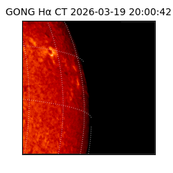 gong - 2026-03-19T20:00:42