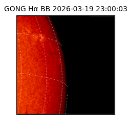 gong - 2026-03-19T23:00:03
