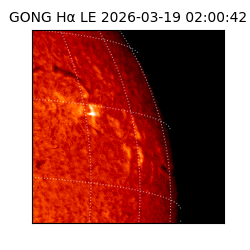 gong - 2026-03-19T02:00:42