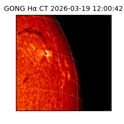 gong - 2026-03-19T12:00:42
