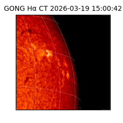 gong - 2026-03-19T15:00:42