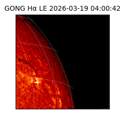 gong - 2026-03-19T04:00:42