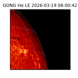 gong - 2026-03-19T06:00:42