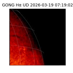gong - 2026-03-19T07:19:02