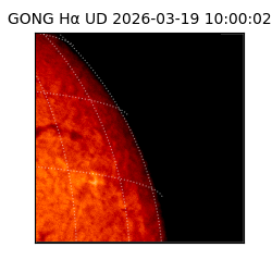 gong - 2026-03-19T10:00:02