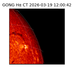 gong - 2026-03-19T12:00:42