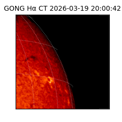gong - 2026-03-19T20:00:42