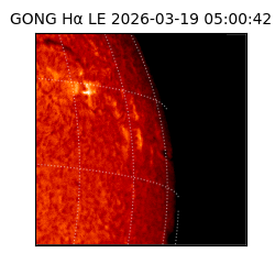 gong - 2026-03-19T05:00:42
