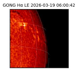 gong - 2026-03-19T06:00:42