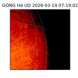 gong - 2026-03-19T07:19:02