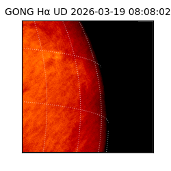 gong - 2026-03-19T08:08:02