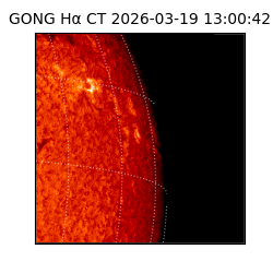 gong - 2026-03-19T13:00:42