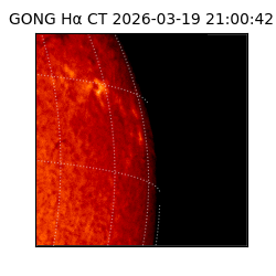 gong - 2026-03-19T21:00:42