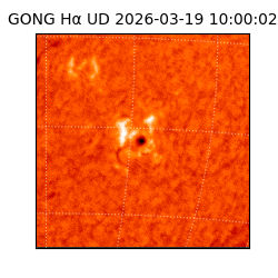 gong - 2026-03-19T10:00:02