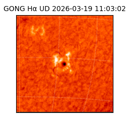 gong - 2026-03-19T11:03:02