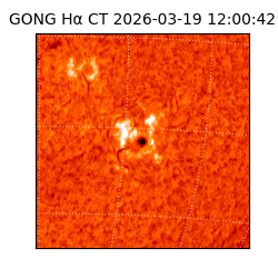 gong - 2026-03-19T12:00:42