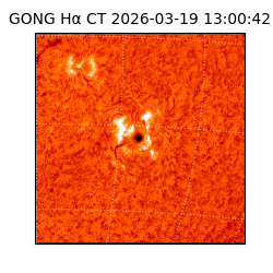 gong - 2026-03-19T13:00:42