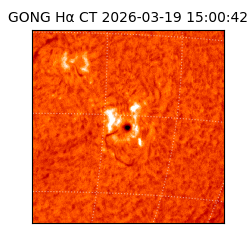 gong - 2026-03-19T15:00:42