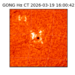 gong - 2026-03-19T16:00:42