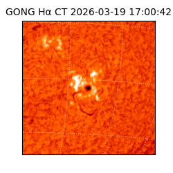 gong - 2026-03-19T17:00:42