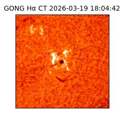gong - 2026-03-19T18:04:42