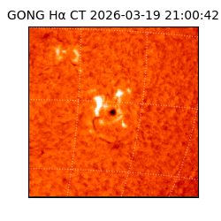 gong - 2026-03-19T21:00:42