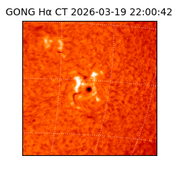 gong - 2026-03-19T22:00:42