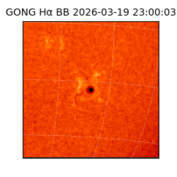 gong - 2026-03-19T23:00:03