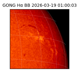 gong - 2026-03-19T01:00:03