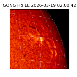 gong - 2026-03-19T02:00:42