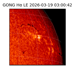 gong - 2026-03-19T03:00:42
