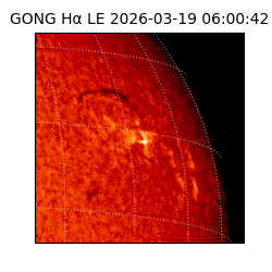 gong - 2026-03-19T06:00:42