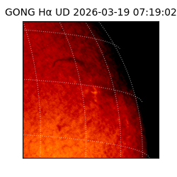 gong - 2026-03-19T07:19:02