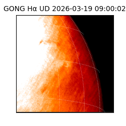 gong - 2026-03-19T09:00:02