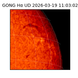 gong - 2026-03-19T11:03:02