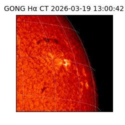gong - 2026-03-19T13:00:42
