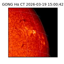gong - 2026-03-19T15:00:42