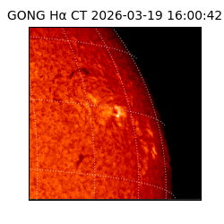 gong - 2026-03-19T16:00:42