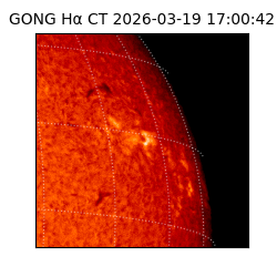 gong - 2026-03-19T17:00:42