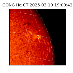 gong - 2026-03-19T19:00:42