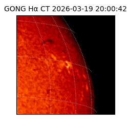 gong - 2026-03-19T20:00:42